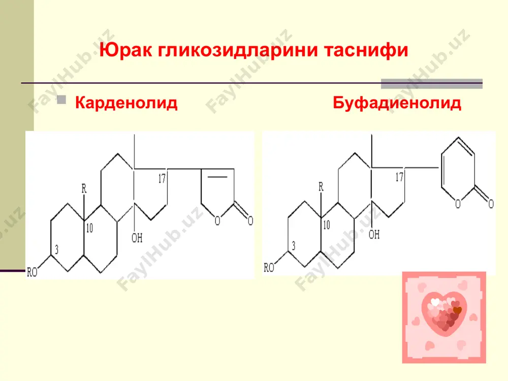 япроқли ва аралаш ўрмонларда ўсади; киприкли ангишвонагул – грузиянинг шимолий ғарбидаги тоғли туманлари; сертук ангишвонагул – украинанинг закарпат ва измаил вилоятларида буталар орасида, ўтлоқларда. шим.кавказ, украина, молдовада ўстирилади; малла ангишвонагул – закавказьенинг шарқий-жанубидаги кенг япроқли ўрмонларда ва буталар орасида. маҳсулотнинг ташқи кўриниши тайёр маҳсулот ангишвонагул ўсимликларнинг қуритилган баргидан ташкил топган. ангишвонагул ўсимликларининг барги асосан бир-биридан барг платинкасининг шакли, сер ёки кам туклилиги, томирларнинг тараққий қилиши ҳамда платинкасининг қирраси билан фарқ қилади. йирик гулли ангишвонагул. барги ланцетсимон, ўткир учли, бир оз ўткир аррасимон қиррали. барг узунлиги 7-25 см, эни 2-6,5 см., ҳар иккала томони яшил рангли. қизил ангишвонагул. барги чўзиқ тухумсимон, ўткир учли, тўмтоқ тишсимон қиррали, узунлиги 12-35 см, эни 3-7,5 см. барг юқори томони буришган, тўқ яшил, пастки томони сертук, кулранг, тўрсимон томирланган. киприкли ангишвонагул барги: тор ланцетсимон, ўткир учли, сийрак тишсимон қиррали, сийрак тукли, узунлиги 4-7 см, эни 0,5-2,5 см., ҳар иккала томони яшил рангли. сертук ангишвонагул барги: чўзиқ …