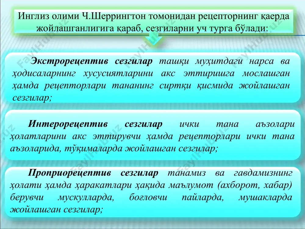 б қолиш ва унутиш тезлигига кўра хотиранинг қуйидаги типлари мавжуд: 4) секин эсда қолдириб, тез унутиш. 3) секин эсда қолдириб, секин унутиш; 2) тез эсда қолдириб, тез унутиш; 1) тез эсда қолдириб, секин унутиш; хаёл онг фаолиятидир, бу фаолият илгари биз идрок қилмаган, тажрибамизда учратилмаган нарса ва ҳодисаларнинг образларини мавжуд тасаввурларимиз асосида миямизда яратишдир. хаёлнинг нерв физиологик асосида ҳам миянинг пўстида илгари ҳосил қилинган вақтли алоқаларнинг (ассоциацияларнинг) яна қайта тикланиб, бир-бири билан янгича қўшилиш жараёни ётади. шуни ҳам айтиш керакки, бош мия ярим шарларида илгари ҳосил қилинган вақтли алоқалар бирин-кетин тикланадилар ва бинобарин уларнинг қўшилишлари ҳам аста-секин юзага келади. ана шунинг натижасида бош миянинг пўстида инсон ўз шахсий ҳаётида ҳеч қачон идрок қилмаган нарсаларнинг образлари пайдо бўлади. бу образларнинг кўпи воқеликка мутлақо тўғри келмайди ва натижада тормозланиб қоладилар. бошқа бирлари эса воқеликка тўғри келганлиги ҳамда инсон фаолияти учун миядан янги имкониятлар очиб бергани туфайли амалий фаолият натижалари билан мустаҳкамланадилар. хаёл …