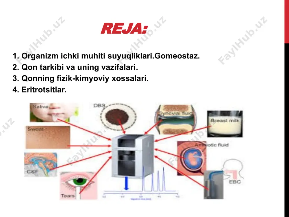 bog’liq. qon plazmasini solishtirma og’irli-qondagi oqsillar miqdoriga bog’liq,1.029-1.032 ga teng. qonning fizik-kimyoviy xossalari: qonning yopishqoqligi: qonning yopishqoqligi suvga nisbatan belgilanadi. suvning yopishqoqligi 1 ga teng. qonning yopishqoqligi yirik molekulali oqsillar,shaklli elementlar miqdori bilan belgilanadi. qonning yopishqoqligi taxminan 5 ga teng. qonning yopishqoqligi – qon tomirda qon harakatlanishiga qarshilik ko’rsatadi. qon plazmasini yopishqoqligi suvga nisbatan 1.7-2.2 marta yuqori. qonning yopishqoqligi asosan eritrositlar miqdori bilan belgilanadi. anemiyada qonning yopishqoqligi pasayadi. qonning osmotik bosimi: erituvchining yarim o’tkazgich membrana orqali past konsentratsiyali eritmadan yuqori konsentratsiyali eritmaga o’tishiga sababchi bo’ladigan bosim osmotik bosim deyiladi.qonning osmotik bosimi unda erigan moddalar miqdoriga asosan tuzlarga bog’liq. bu bosimning 60 % nacl hosil qiladi. qonning osmotik bosimi… normada qonning osmotik bosimi 7,6 atm. (5700 mm sim.ust., 762 kpa, 282 mоsm/n) ga teng. plazma oqsillari hosil qilgan osmotik bosim onkotik bosim deyiladi. onkotik bosim normada 0,03 - 0,04 аtm. (25-30 mm sim.ust) ga teng. onkotik bosimni 80 % ini albuminlar …