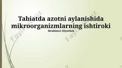tabiatda azotni aylanishida mikroorganizmlarning ishtiroki — PPTX
