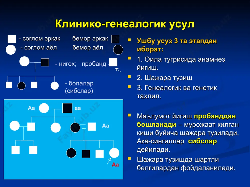 moklarda, tovonda 2 – 3 barmoklarda kuzatiladi. irsiylanish tipi: ad tarkalish chastotasi: 1:2500 -3000 ektrodaktiliya 1970 yildan boshlab urganilgan. klinik belgilari: kul va oyok barmoklarining bir yoki bir nechtasining rivojlanmasligi yoki bulmasligi. irsiylanish tipi: ad tarkalish chastotasi: 1 : 90 000 -160 000 gipertrixoz («burisimon- odamlar») klinik belgilari: tanasining barcha kismini soch tuklari bilan koplanishi, fakatgina kaft va tovondan tashkari. urta asrlarda 50 yakin gipertrixoz xolatlari ruyxatga olingan. rivojlanishda boshka patologiyalar deyarli uchramaydi. lokal gipertrixoz moddalar almashinuvi buzilishi natijasida kuzatilishi mumkin. irsiylanish tipi-ad. tarkalish chastotasi noma'lum. autosom-retsessiv tipdagi irsiylanish 1. klinik soglom ota-onalardan kasal bola tugilishi mumkin. 2. aka-singillar (sibslar) kasallanadi. 3. ikkala jinsda xam bir xilda uchraydi. 4. kup xollarda avlodlar urtasidagi nigoxlarda uchraydi. 5. agar ikkala ota-ona xam kasal bulsa barcha bolalari kasal tugiladi. nunan sindromi 1928 yildan boshlab urganilgan. klinik belgilari: gipertelorizm, epikant, kuloklarning pastda joylashishi, ta'm bilish uzgarishi, antimongoloid kuz yoriklari, kriptorxizm, kukrak kafasi anomaliyasi, past …