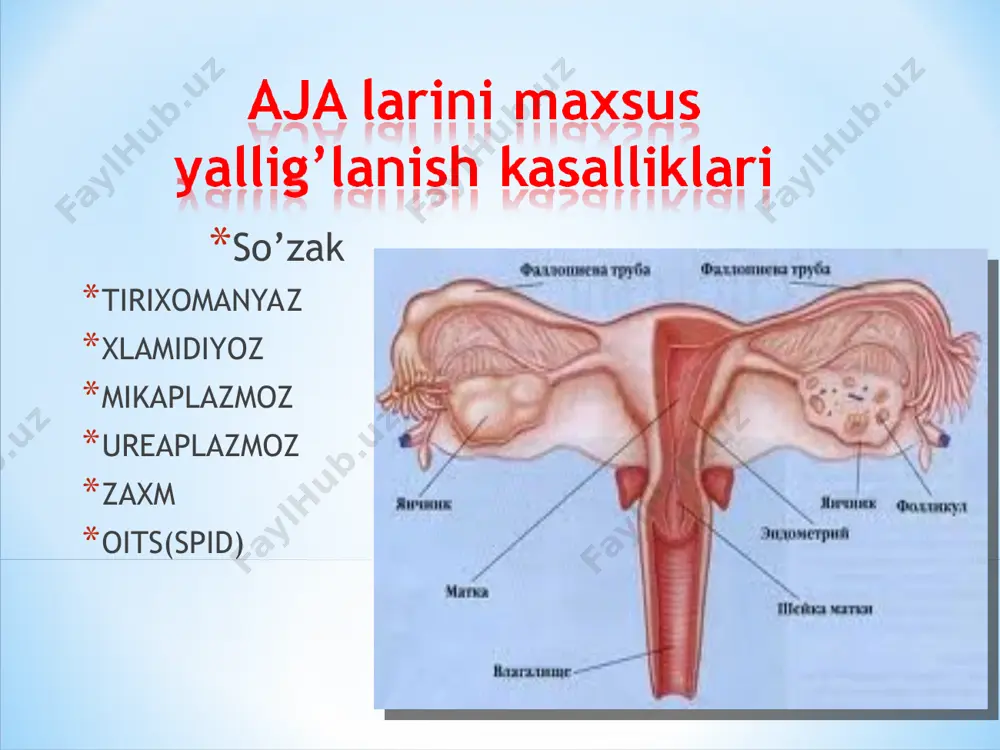 sfuzion, maishiy, transplantatsion. inkubatsion davr birlamchi zaxm -lsn zaxm -lsp zaxm ikkilamchi zaxm ikkilamchi yangi ikkilamchi yashirin ikkilamchi qaytalama uchlamchi zaxm -uchlamchi aktiv -uchlamchi yashirin aja larida birlamchi zaxmga xos qattiq shankr, limfa tugunlarining kattalashishi, ikkilamchi zaxmga xos bo’lgan papulyoz toshmalar, tugunchalar, keng uchli kandilomalar, uchlamchi zaxmga xos zaxm gumma va do’mboqchalari bo’lishi xos. mikroskopik usul rw rif ret maxsus davo profilaktik davo prementiv davo sinama davo qo’zg’atuvchisi- retrovirus oilasiga mansub oitv (odam immun tanqisligi virusi) hisoblanadi. yuqish yo’llari-jinsiy aloqa, parenteral, vertikal, transfuzion, transplantatsion. quyidagi bosqichlarda boradi: virusni hujayraga adgeziyasi virusni hujayraga kirishi virus genomi replikatsiyasi yetilgan viruslarni hujayradan chiqishi boshlang’ich davri (3-14 kun, orvi ga o’xshash) yashirin davri (3-5 yil, boshqalar uchun xavfli) tarqalgan limfoadenopatik davri vich ga aloqador simptomokompleks davri (virusli kasalliklar, mikozlar, kaposhi sarkomasi) oits o’pka turi - tez va o’tkir kechadi. antibiotiklar foydasiz, o’lim kuzatiladi hazm turi – dispepsiya, eksikoz, neyrotoksikoz, nevrologik turi – meningit, meningoensefalit, …
