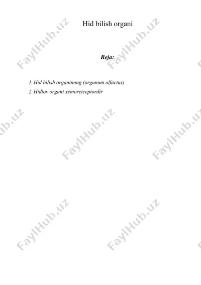 hid bilish organi — DOCX
