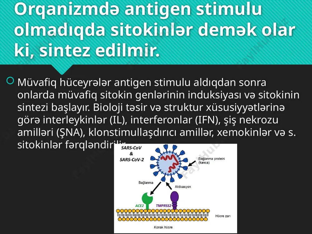 okin aktivləşmiş b-limfosilərin böyümə amillərindən biri hesab edilir. onun təsirindən immunoqlobulinlərin sintezi sürətlənir. image2.png image3.png image4.png image5.png image6.png image7.png image8.png image9.png image10.png image11.png image12.png image13.png /docprops/thumbnail.jpeg