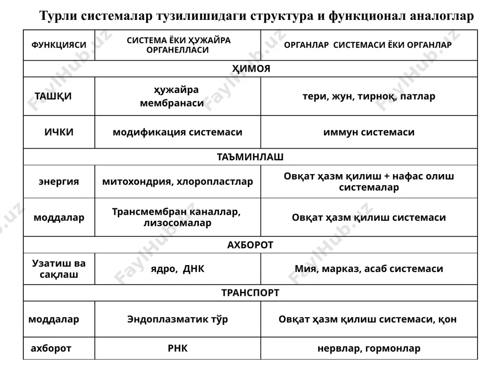 ламчи тузилиши макромолекула занжирида мономерларнинг ковалент боғ орқали бирикиб, кетма-кет жойлашишидан юзага келади. оқсил макро-молекуласи занжири пептид боғлар билан ўзаро бирлашган аминокислоталар кетма-кетлигидан ташкил топган. оқсил молекуласининг асосий физик-кимёвий хосса-лари бирламчи структураси билан аниқланади. полипептид занжирида аминокислоталар навбат билан жойлашиш тартибининг ўзи оқсил молекуласининг фазодаги конфи-гурациясини, занжир шаклини ва бошқа молекулалар билан муносабатини белгилайди. 1953 й. инсулин оқсилининг структура тузилишини 1-марта сенгер аниқлаган. оқсил молекуласида пептид боғининг ўлчамлари эса л.полинг ва к.кори томонидан ўрганилган. оқсилларнинг бирламчи тузилиши молекуляр биофизика асослари оқсилларнинг бирламчи структура тузилиши инсулин оқсилининг бирламчи структура тузилиши 28 оқсилларнинг иккиламчи структура тузилиши оқсилларнинг иккиламчи структураси бирламчи тузилишнинг водород боғлари ёрдамида букилиши, эгилиши ва спиралланиши натижасида ҳосил бўлади. а-спирал: спиралнинг турли қатламлари орасидаги кислород билан водород алоқалари унга бу спирал структурани беради. иккиламчи структурали оқсилларда карбонил ( co- ) амин (-nh ) гуруҳлари ўртасидаги ҳосил бўладиган водород боғлари туфайли α– спирал ва β– қатламли структуралар шаклланади. полипептид занжир α …