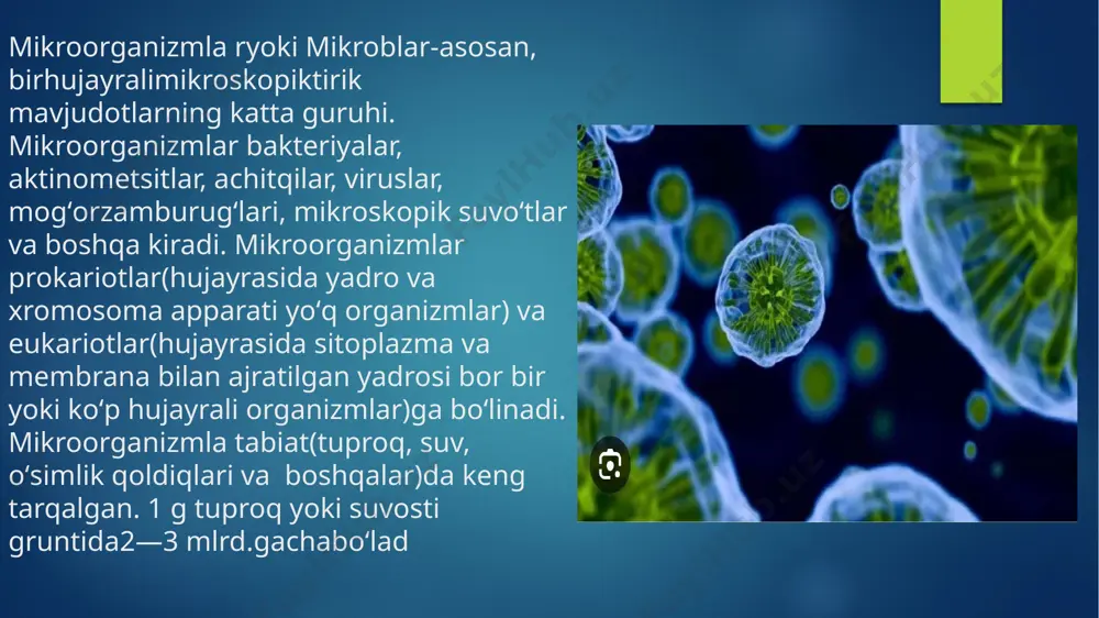 zatorlar ishtirokida sodir bo‘lib, bu jarayonlarda oddiy va murkab moddalar hosil bo‘lishi parchalanishi ajralib chiqishi va yutilishi kabi xodisalar amalga oshishi bilan mikroorganizmlar tiriklik xususiyatlarini saqlar ekanla image6.png image7.png image8.png image9.png image2.png image3.png image4.png image5.png
