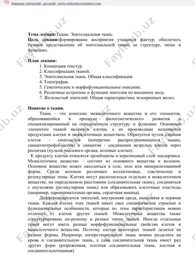 эпителиальная ткань — DOCX