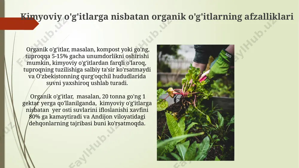 lilik 25% ga oshgan. e'tiboringiz uchun rahmat @taqdimot_robot image1.jpg image2.jpg image3.jpg image4.jpg image5.jpg image6.jpg image7.jpg image8.jpg