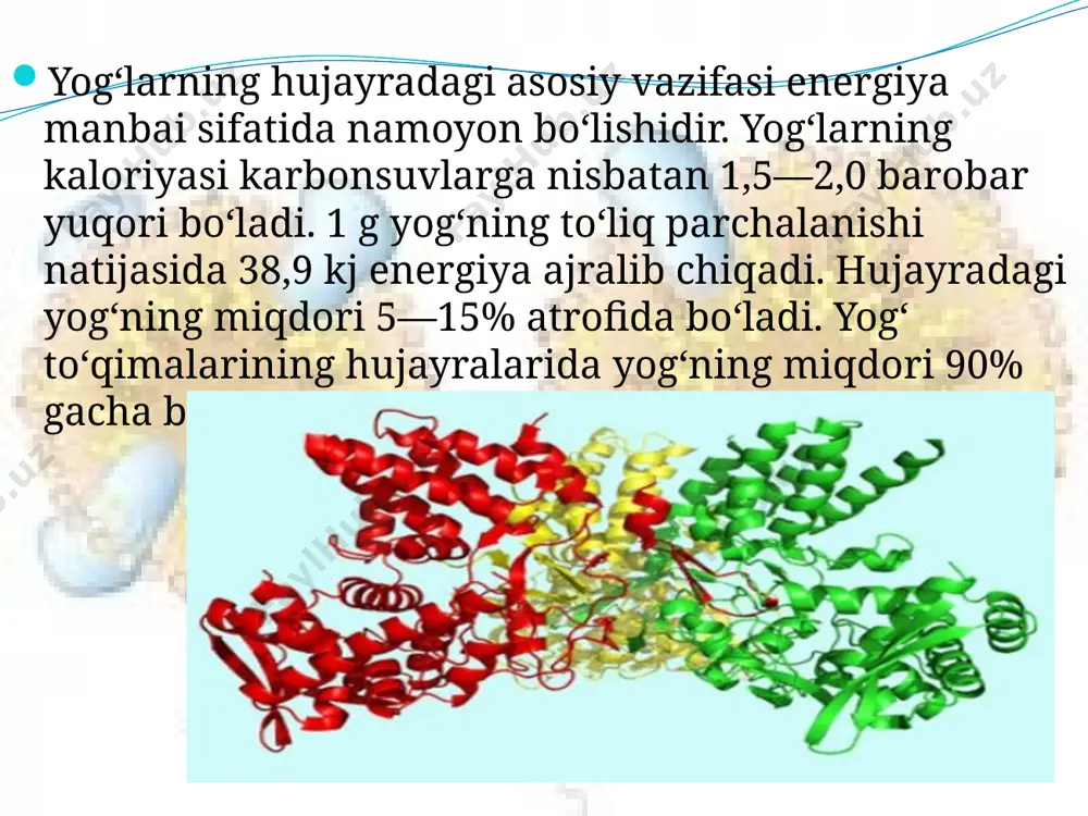 lipidlar. 9 - sinf - Page 3