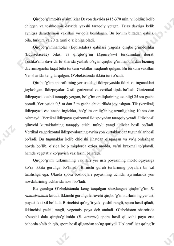 qiy yetgan, bo’g’im oraliqlarining uzunligi 25 sm gacha boradi. yer ostida 0,5 m dan 2 m gacha chuqurlikda joylashgan. tik (vertikal) ildizpoyasi esa ancha ingichka, bo’g’im oralig’ining uzunligining 10 sm dan oshmaydi. vertikal ildizpoya gorizontal ildizpoyadan taraqqiy yetadi. ildiz hosil qiluvchi kurtaklarining taraqqiy etishi tufayli yangi ildizlar hosil bo’ladi. vertikal va gorizontal ildizpoyalarning ayrim yon kurtaklaridan tugunaklar hosil bo’ladi. bu tugunaklar kelib chiqishi jihatdan qisqargan va yo’g’onlashgan novda bo’lib, o’zida ko’p miqdorda oziqa modda, ya’ni kraxmal to’playdi, hamda vegetativ ko’payish vazifasini bajaradi. qirqbo’g’im turkumining vakillari yer usti poyasining morfologiyasiga ko’ra ikkita guruhga bo’linadi. birinchi guruh turlarining poyalari bir xil tuzilishga ega. ularda spora boshoqlari poyasining uchida, ayrimlarida yon novdalarining uchlarida hosil bo’ladi. bu guruhga o’zbekistonda keng tarqalgan shoxlangan qirqbo’g’im e. ramosissimum kiradi. ikkinchi guruhga kiruvchi qirqbo’g’im turlarining yer usti poyasi ikki xil bo’ladi. birinchisi qo’ng’ir yoki yashil rangli, spora hosil qiladi, ikkinchisi yashil rangli, vegetativ poya deb ataladi. o’zbekiston sharoitida …