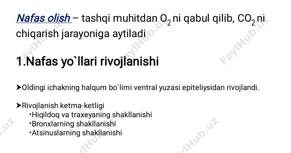 pillovchi hujayralar uzun bazal membranada joylashgan apikal qismida 250tagacha kiprikchalar mavjud kiprikchalar tebranishi shilliqning surilishi va begona chang zarralarini traxeobronxial daraxtdan halqumga o`tishini ta`minlaydi qadahsimon hujayralar bazal membranada joylashgan shilliq ishlab chiqaradi      bazal kalta hujayralar bazal membranaga zich tegib turadi, apikal ichi bo`shliqqa yetib bormaydi bronxlar epiteliysini yangilash vazifasni bajaradi bazal uzun hujayralar bazal hujayradan kiprikchali va qadahsimon hujayraga o`tuvchi forma largengans hujayralar makrofag qatori hujayralar sitoplazmasida birbek granulalari mavjud      endokrinotsitlar (k-kulchitskiy hujayralar) mayda granulyar hujayralar apud sistemasiga kiradi bioamin (serotonin, noradrenalin) va peptidlar (bombezin, kalsitonin) ishlab chiqaradi kipriksiz hujayralar ichak m-hujayralari analogi largengans hujayralari kabi funksiya bajaradi   a. b. c. d.  a. b. c. pastki nafas yo`llari spetsifik hujayralari jiyakli hujayralar xemoretseptorlar shilliq so`rish qisman retseptor epiteliyni kambial elementlari klark hujayralar sekretor hujayralar detoksikatsiyaga qarshi bronx yopishishiga qarshi moddalar ishlab chiqaradi 1. tunica mucosa (5) • …