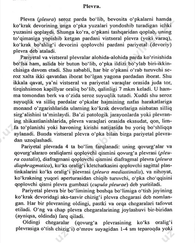 plevra - Page 2