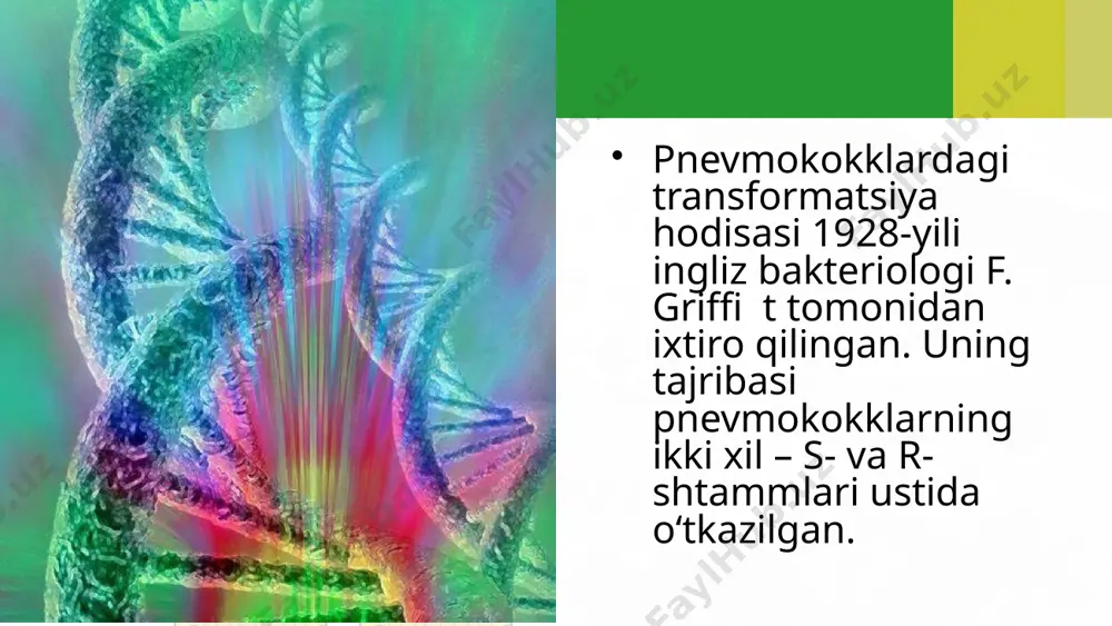 hujayra irsiyatining o‘zgarishiga olib keladigan jarayonlar. 10 - sinf - Page 4