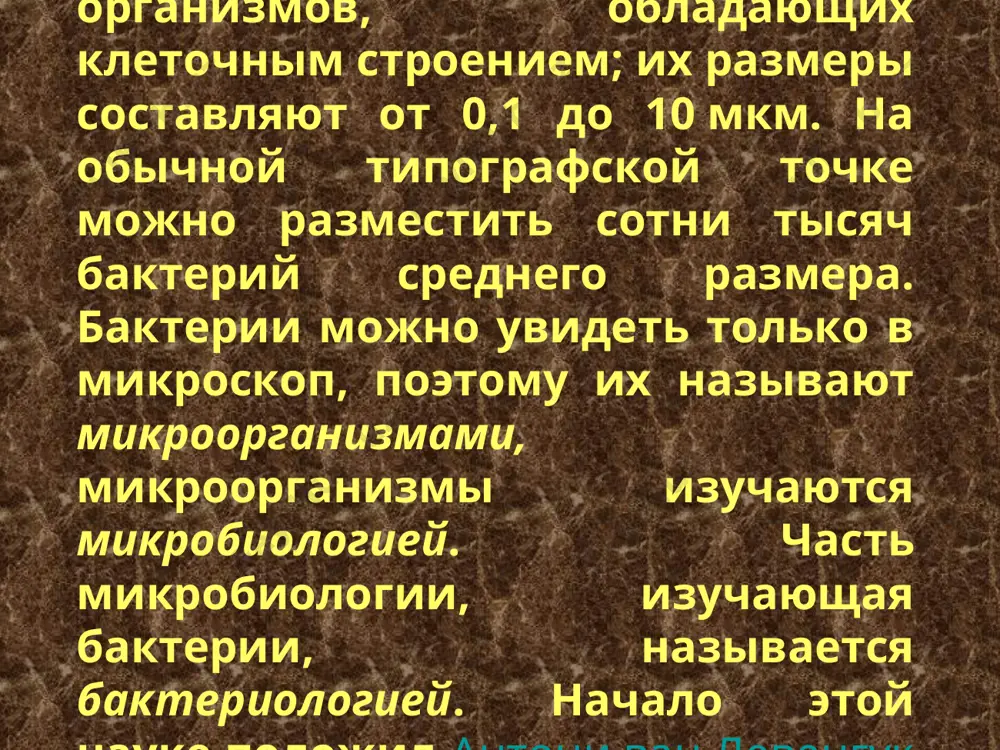 а); в сельском хозяйстве — при силосовании кормов, квашении капусты, засолке огурцов и помидоров. бактерии уксуснокислого брожения используются для получения винного уксуса, который применяется для маринования плодов и овощей. они используются в кожевенной и текстильной промышленности при мочке льна и конопли, в микробиологической промышленности, в медицине для приготовления сывороток, вакцин, антибиотиков бактерии активно используются в генной инженерии и в биотехнологии. в то же время бактерии гниения и брожения приводят к порче продуктов. с жизнедеятельностью некоторых бактерий связано биологическое разрушение многих промышленных материалов (дерево, бумага, картон и др.). многие виды бактерий (патогенные) вызывают заболевания у человека (холера, чума, дизентерия, тиф и др.), домашних животных (бруцеллез), культурных растений (бактериоз).для борьбы с ними применяют антибиотики, бактериофаги, прививки, организуют работу по ликвидации очагов заражения. для профилактики заболеваний необходимо закаливать организм, соблюдать правила санитарии и гигиены. продукты питания корма антибиотики биоразрушение симбионты патогенные биотехнология генная инженерия