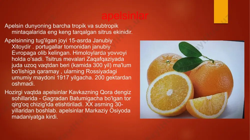 uglevodlar: shakar 9-10%, tolalar 1,4% gacha. mandarin tarkibida fitonsidlar, tabiiy antiseptiklar mavjud. peelda 1-2% efir moyi, shuningdek pigmentlar, masalan, karotin mavjud. oziqlanish qiymati ishtahani oshiradigan, metabolik jarayonlarni yaxshilaydigan va qishda tanani vitaminlar bilan to'yingan qimmatli parhez mahsulotidir. mandarin va mandarin sharbati organizmga tonik ta'sir ko'rsatadi, ovqat hazm qilishni rag'batlantiradi va fitontsid xususiyatlari tufayli mikroblarga qarshi ta'sirga ega. turlari va diapazoni mandarinlarning navlari ta'mi (nordon yoki shirin), teri rangi, toshlarning mavjudligi, kattaligi va teridan ajralish qulayligi bilan farqlanadi. eng shirin mevalar asal, robinson, temple, dansi va klementin (apelsin bilan jazoir gibrid), mineola ( mandarin va greyfurt gibrid), isroil va marokash navlari . abxaziya mandarinlari eng keng tarqalgan. ularning mevalari o'rtacha kattalikdagi, yumaloq, sentyabr oyining oxirida - oktyabr oyining boshida daraxtda paydo bo'ladi . ularning qobig'i juda qalin, ammo pulpadan osongina ajratiladi. pulpa suvli, shirin, ozgina nordon, ko'p miqdorda urug'larni o'z ichiga oladi. tsitrus mevalarining sifatiga qo'yiladigan talablar sitrus bo'lishi kerak: ketgan …