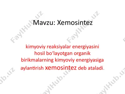 xemosintez — PPTX