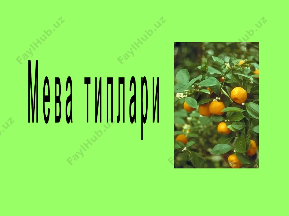 гулли ўсимликларнинг гуллаши, чангланиши ва уруғланиши. уруғ ва мева - Page 5