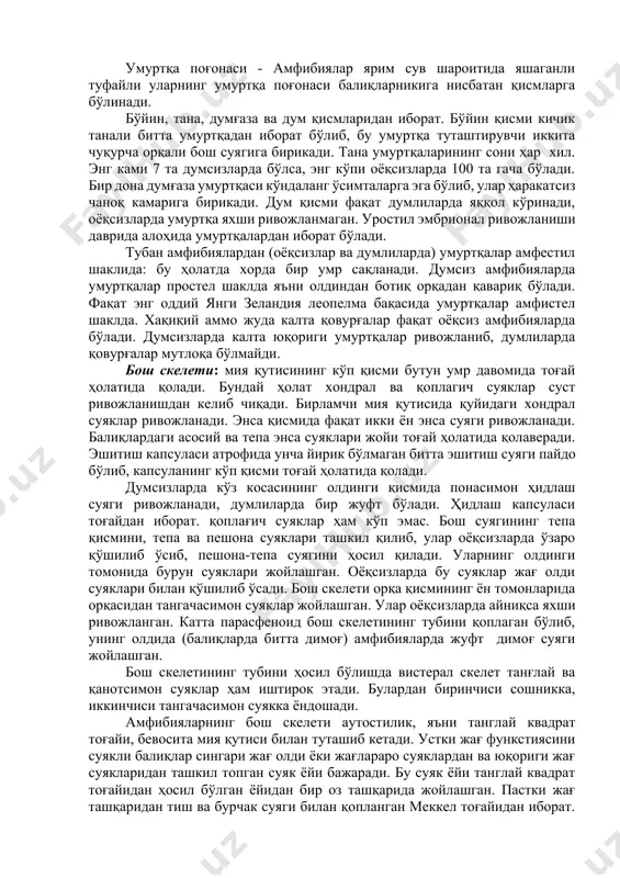 paydo bo'lishi, qon aylanishi va sezgi organlarida katta o'zgarishlarni vujudga keltirgan. ammo voyaga etgan formalari quruqlikda yashashga moslashgan. o'pkasi uncha yaxshi rivojlanmaganligi tufayli terisi ham nafas olishda ishtirok etadi. uch bo'lmali yuragi qonni arteriya va venozga bo'linishini ta'minlay olmaganligi tufayli tanadagi ko'p arteriyalarda aralash qon oqadi. ko'pchilik vakillari suvda tuxum qo'yib urchiydi. umurtqa pog'onasi - amfibiyalar yarim suv sharoitida yashaganli tufayli ularning umurtqa pog'onasi baliqlarnikiga nisbatan qismlarga bo'linadi. bo'yin, tana, dumg'aza va dum qismlaridan iborat. bo'yin qismi kichik tanali bitta umurtqadan iborat bo'lib, bu umurtqa tutashtiruvchi ikkita chuqurcha orqali bosh suyagiga birikadi. tana umurtqalarining soni har xil. eng kami 7 ta dumsizlarda bo'lsa, eng ko'pi oyoqsizlarda 100 ta gacha bo'ladi. bir dona dumg'aza umurtqasi ko'ndalang o'simtalarga ega bo'lib, ular harakatsiz chanoq kamariga birikadi. dum qismi faqat dumlilarda yaqqol ko'rinadi, oyoqsizlarda umurtqa yaxshi rivojlanmagan. urostil embrional rivojlanishi davrida alohida umurtqalardan iborat bo'ladi. tuban amfibiyalardan (oyoqsizlar va dumlilarda) umurtqalar amfestil shaklida: bu …
