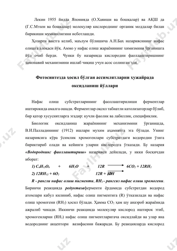 анаэроб нафас олиб яшай олмайди. бундай шароитда улар нобуд бўлишига сабаб ҳосил бўлган спиртдан заҳарланади ва қуриб қолади. анаэроб нафас олиш ўсимликлар учун вақтинчалик ҳолат бўлади. тупроқда намлик ортиб кетганда, ўсимликлар анаэроб нафас олиши мумкин. кўпгина микроорганизмлар учун анаэроб нафас олиш асосий йўл бўлиб, бунда ҳаёти учун зарур энергияни олади, бу жараён тўхтовсиз амалга ошади. бундай ҳолатни анаэроб нафас олишдаги бижғиш жараёни дейилади. микроорганизмлар бижғиш жараёнида ўзининг заҳира озиқ моддаларини сарфламай, балки атрофдаги озиқ моддалардан фойдаланади. анаэроб нафас олишда ўсимликлардаги спиртли бижғишдаги каби жараён боради, бунда қатор ферментлар таъсирида оралиқ моддалар ҳосил бўлади, яъни пироузум кислота со2 ва спиртга парчаланади. аэроб шароитда эса пироузум кислота со2 ва н2о гача парчаланади. қуйидаги схемада аэроб ва анаэроб нафас олиш жараёнларининг /ўзаро боғлиқлиги кўрсатилган. қандлар фосфат кислота ёрдамида қандларнинг тикланиши активлашган қандлар гликолиз жараѐни (активлашган қандларнинг парчаланиши) оралиқ маҳсулотлар: альдегидлар кислоталар пироузум кислотаси кислородсиз муҳитда парчаланиш со2 + с2н5он кислородли муҳитда парчаланиш со2 …
