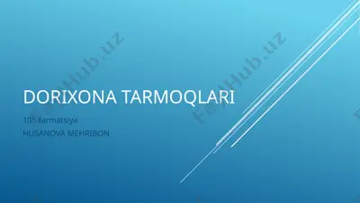 dorixona tarmoqlari — PPTX