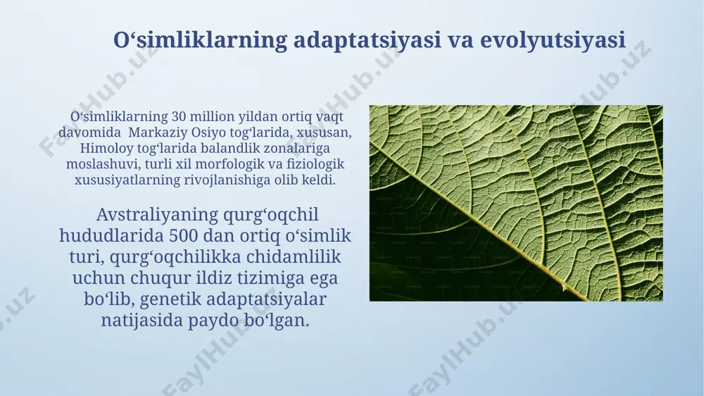 olgan holda, masalan, himalaya togʻlarining turli balandliklaridagi oʻsimliklarning zonalarini oʻrganish mumkin. oʻsimlik geografiyasi, yoki fitogeografiya, yer yuzidagi 250 000 dan ortiq oʻsimlik turlarining tarqalishini, 7 ta biom va turli iqlim zonalari (masalan, amazon oʻrmonlari) boʻyicha oʻrganadi. oʻsimliklarning paleogeografik tarixi gondvana superqit’asining parchalangani (taxminan 180 million yil avval) avstraliya, antarktida va janubiy amerikadagi oʻsimliklarning oʻxshashligini tushuntirishda muhim rol oʻynaydi. pleistotsen davridagi muzliklarning shimolga siljishi evropa va shimoliy amerikada oʻsimliklarning janubga qarab qayta joylashishiga olib keldi, bu jarayon 10 000 yil davom etdi. e'tiboringiz uchun rahmat @taqdimot_robot image4.png image5.jpg image6.jpg image7.jpg image8.jpg image9.jpg image10.jpg image11.jpg image12.jpg image13.jpg image14.jpg image15.jpg image16.jpg image17.jpg image18.jpg image19.jpg image3.jpeg