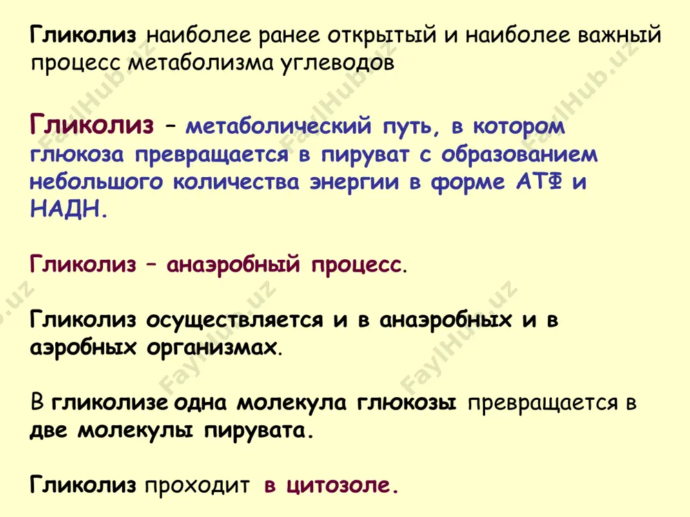 ат + 2 atф + 2 надн + 2 h+ + 2 h2o во время превращения глюкозы в пируват: * научные исследования ферментации виноградного сахара были первыми исследованиями гликолиза * использование пирувата * метаболизм пирувата к этанолу этанол образуется из пирувата в дрожжах и некоторых микроорганизмах в анаэробных условиях. две реакции: 1. декарбоксилирование пирувата в ацетальдегид. фермент - пируватдекарбоксилаза. кофермент – тиамин пирофосфат (b1) 2. восстановление ацетальдегида в этанол. фермент – алкогольдегидрогеназа кофермент – надн. * лактат образуется из пирувата в анаэробных условиях. превращение глюкозы в лактат называется молочнокислым брожением. фермент - лактатдегидрогеназа. кофермент – надн. метаболизм пирувата в лактат * глюкозо-1-фосфат превращается в глюкозо-6-фосфат фосфоглюкомутазой. * непереносимость лактозы (гиполактазия) обусловлена дефицитом лактазы, которая расщепляет лактозу до глюкозы и галактозы. микроорганизмы в толстом кишечнике ферментируют неперетравленную лактозу в молочную кислоту генерируя метан (ch4) и водород (h2) – кишечные расстройства, метеоризм. молочная кислота – осмотически активное вещество и задерживает воду в …