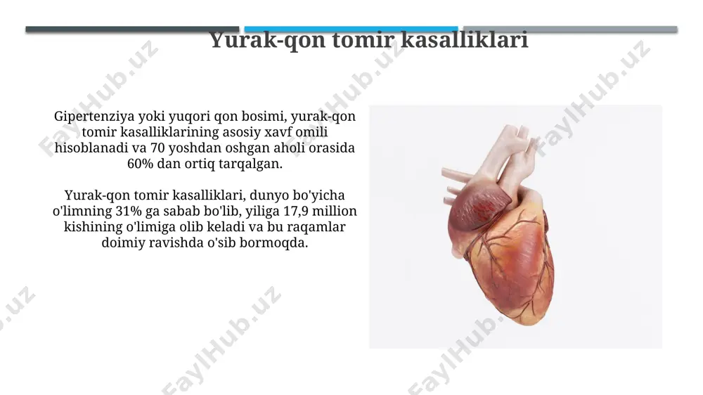 yurak qon tomir tizmi - Page 5