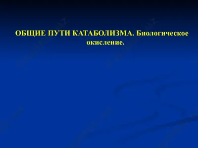 общие пути катаболизма. биологическое окисление. — PPTX