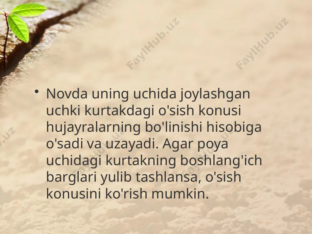 novda tizimimg shakllanishi. 6 - sinf - Page 3
