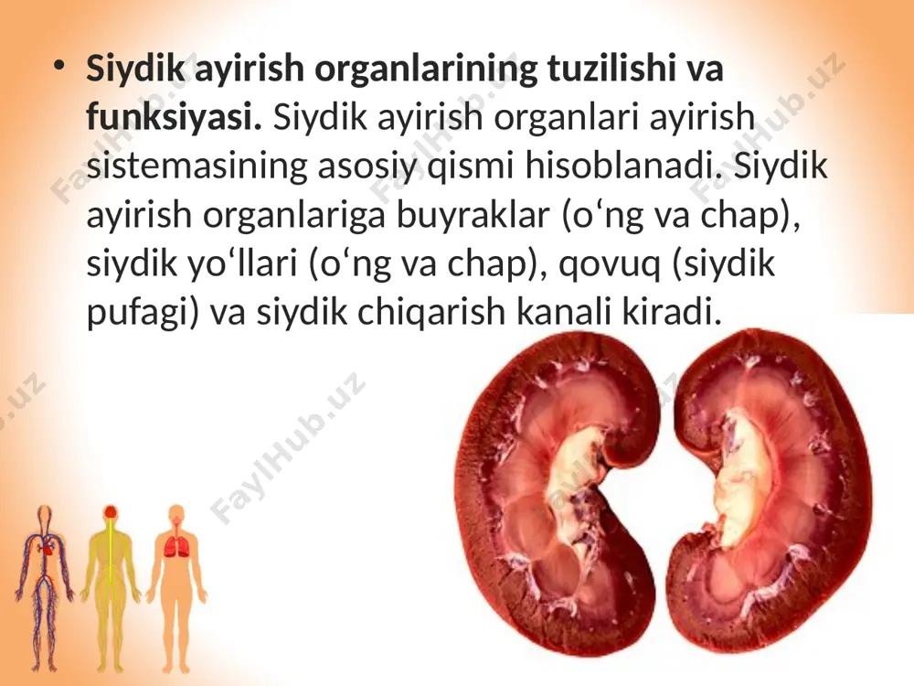 ayirish sistemasining ahamiyati. 8 - sinf - Page 5
