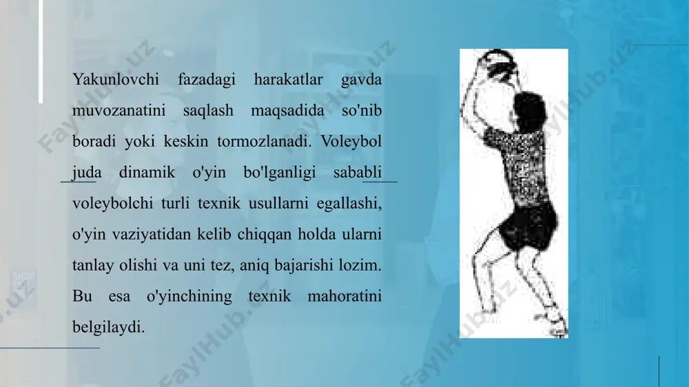 lash balandligi bilan - u baland bo'lmasligi kerak; to'pga zarba berish - u taxminan bel barobarida amalga oshirilishi zarur. 14 to'p ko'krak sathida ushlab turiladi, bir oyoq oldinga qo'yiladi (zarba beruvchi qo'lga nisbatan qarama-qarshi). to'p 1 m yuqoriga oldinga tashlanib, o'yinchi qo'lini yuqoriga-orqaga harakatlantiradi va zarba beruvchi qo'l - yelkasini orqaga-yuqoriga olib boradi. zarba to'g'ri qo'l bilan birmuncha oldinda bajariladi. bu usul ikki xil variantda: to'pga aylanma harakat berib va aylanma harakat bermasdan amalga oshirilishi mumkin. 15 to'pga aylanma harakat bermasdan to’p kiritish usuli birmuncha murakkab usul hisoblanadi. bu usulda quyidagi elementlarning bajarilishiga qat'iy amal qilish zarur (11-rasm). bular: to'pning qoq o'rtasiga zarba berish; to'p tashlashning nisbatan pastligi (0,5 m gacha); zarba beruvchi qo'lni orqaga nisbatan qisqa harakatlantirish; kuchli (tezkor) va «aldamchi» (sekin) zarbalar berish. hujum zarbasini 2 yo'l bilan bajarish mumkin: to'g'ri (to'rga nisbatan to'g'ri turgan holda) va yon tomon bilan (to'rga nisbatan). 16 yuqoridan yon tomon bilan to'p …