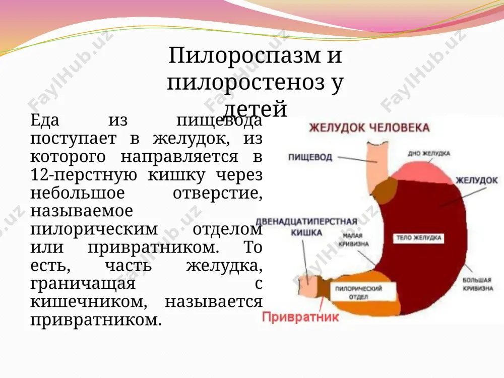 ronicheskie zabolevaniya jeludka i kishechnika s chastimi obostreniyami (gastrit s povishennoy kislotnostyu, yazva jeludka i dvenadtsatipyorstnoy kishki, disbakterioz, diskinezii jelchevivodyashix putey); defitsit vitaminov gruppi b; postoyannie stressi; fizicheskie peregruzki; istericheskiy nevroz. razlichayut pervichniy pilorospazm, voznikayushiy s rojdeniya vvidu nezrelosti avtonomnoy nervnoy sistemi, i vtorichniy, sformirovanniy na fone kakoy-libo patologii. formi pilorospazma u rebenka kompensirovanniy pilorospazm. xarakterizuetsya zamedlennim proxojdeniem pishi iz jeludka v kishechnik. eto soprovojdaetsya diskomfortom v jivote, toshnotoy, u grudnichkov — srigivaniem. massa tela i obshee sostoyanie ne stradayut. dekompensirovanniy pilorospazm. vstrechaetsya v zapushennix sluchayax. pri etom pisha naxoditsya v jeludke dolgo, vplot do nachala gnilostnix protsessov. voznikayut zastoynie yavleniya (dlitelnaya zaderjka pishi v jeludke vizivaet protsessi gnieniya i raspada pishi): obilnaya rvota s gnilostnim zapaxom, simptomi intoksikatsii (temperatura tela, povishennoe potootdelenie, slabost). obshee sostoyanie narushaetsya, organizm istoshaetsya, razvivaetsya asteniya, depressiya. simptomi pilorospazma u rebenka obilnoe srigivaniya i rvota — voznikayut na 1-2-oy nedele jizni rebenka, srazu posle kormleniya …