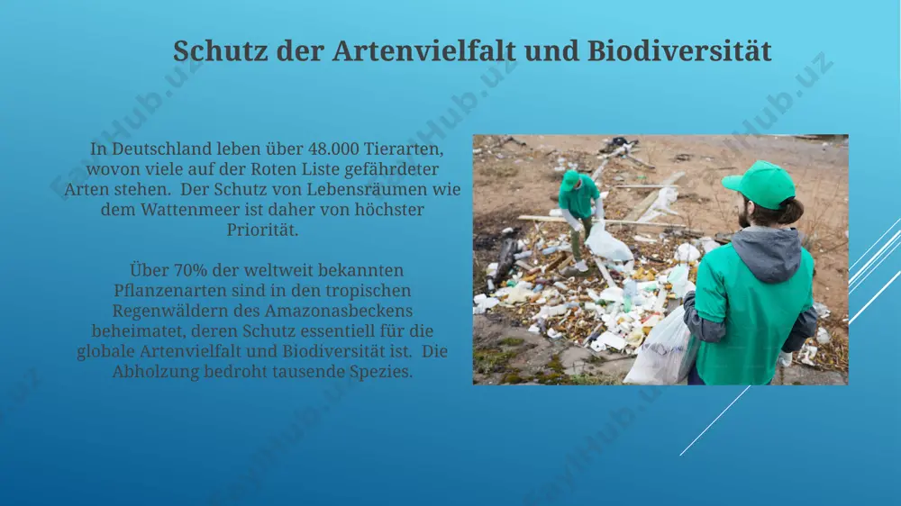 umweltschutz - Page 4