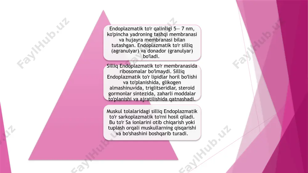 adi. golji apparati barcha eukaryotik hujayralarni (sitoplazmasida aniq belgilangan yadroga ega bo'lgan hujayralar) o'z ichiga olgan organella bo'lib, ichki membrana tizimining bir qismidir. u ko'plab hujayrali oqsillar va lipidlarni sintez qilish uchun muhim organella bo'lib, o'simliklarni qadoqlashda rol o'ynaydi. biroq, ko'p odamlar nima ekanligini bilishmaydi golji apparatining funktsiyasi. bu ko'plab hujayrali oqsillar va lipidlarni sintez qilish uchun muhim organella bo'lib, qadoqlash zavodi vazifasini bajaradi: hujayralar tomonidan ishlab chiqarilgan moddalarni sintez qiladi, qadoqlaydi va ularni sitoplazmadagi tegishli manzillarga tarqatadi. shu sababli, biz ushbu maqolani sizga golji apparati funktsiyasi, uning xususiyatlari va ahamiyati haqida bilishingiz kerak bo'lgan hamma narsani aytib berishga bag'ishlaymiz. hujayralar ushbu golji apparatlaridan bir yoki bir nechtasiga ega bo'lishi mumkin. (aslida, o'simliklarda yuzlab bor), odatda sitoplazmada yadro va endoplazmatik retikulum yaqinida joylashgan hujayraga qarab, har bir qurilma oqsillar yoki lipidlarni o'z ichiga olishi uchun o'zgaruvchan sonli to'plangan hovuzlar yoki "sumkalar" ni o'z ichiga olishi mumkin. lizosoma tuzilishi lizosoma (grekcha: …