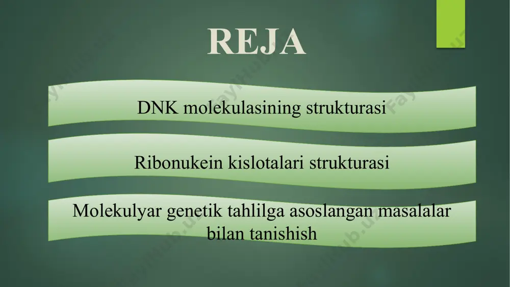 osfatlar bir-biri bilan ketma-ket tutashib, aylanma (spiralsimon) narvonga o‘xshash qurilmaning ikki tayanch ustunchasini hosil qiladi. a va t, g va s li nukleotidlar o‘zaro tutashib dnk aylanma narvonning zinapoyalarini yaratadi. 5) dnk molekulasidagi ikkala spiralsimon polinukleotid zanjiri dnk molekulasining yagona umumiy o‘qi atrofida spiralsimon aylanib joylashgan bo‘ladi. ribonuklein kislotalari (rnk) strukturasi ribonuklein kislotalari (rnk) strukturasi dnk ning strukturasidan quyidagi xususiyatlari bilan farq qiladi: 1) rnk molekulalari bitta polinukleotid zanjiridan iborat; 2) rnk molekulasida dnk dagi dezoksiribozaning o‘rnida riboza joylashgan bo‘ladi; 3) rnk molekulasida dnk molekulasidagi timin (t) o‘rnida urasil (u) o‘rnashgan bo‘ladi. rnk turlari odatda, rnk molekulalari u sintezlaydigan funksional molekulalarga nisbatan birmuncha katta molekulyar massaga ega. hujayradagi rnk sonining 80% ini ribosomal rnk tashkil etadi. uning molekulyar massasi 1,1 — 1,7 mln boʻlib, 4000—6000 mononukleotid qoldigʻidan iborat. rnkning bu xili ribosomalarning shakllanishida ishtirok etadi. shakllangan ribosomalarning 60% massasini rrnk tashkil qiladi. transport rnkning molekulyar massasi 25000 ga yaqin boʻlib, …