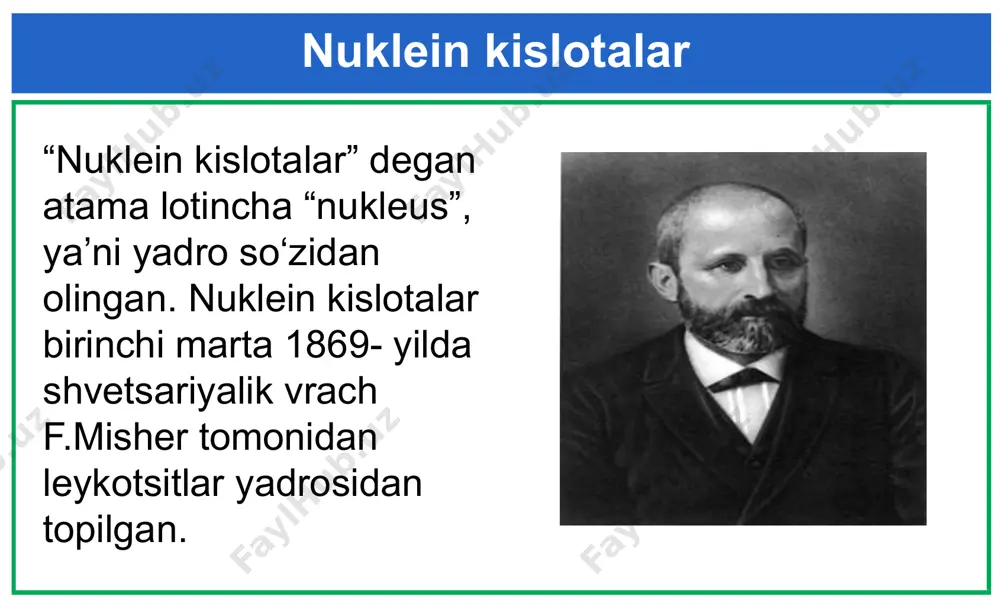 ichida joylashadi. azotli asoslar nukleotidlar nuklein kislotalarning biologik ahamiyati nuklein kislotalarning biologik ahamiyati nihoyatda katta. ular hujayra oqsillarining sintezlanishida, irsiy axborotlarning nasldan naslga o'tishida muhim rol o'ynaydi. dnkdagi irsiy axborotni berilishi tufayli avlodlar o'z ota-onasiga o'xshash bo'ladi. umumlashtirish nuklein kislotalar barcha tirik organizmlarda keng tarqalgan moddalar bo’lib, o’z molekulalarida hayot uchun zarur ma’lumotlarni saqlaydi. bu ma’lumotlar orqali organizm o’zi uchun zarur bo’lgan oqsil va boshqa moddalarni sintezlaydi. shuningdek , organizmda boradigan juda ko’p moddalar va energiya almashinuvi , oqsillar biosintezi kabi muhim jarayonlar nuklein kislotalar faoliyati bilan bog’liq. mustahkamlash uchun savollar nuklein kislotalarni birinchi bo'lib qaysi olim kashf etgan? ? nuklein kislotalarning qanday xillari bor? dnk hamda rnkning o'xshashlik va farqli tomonlarini tushuntirib bering. mustaqil bajarish uchun topshiriq misollarni bajaring: 1. dnkning o'ng zanjiridagi nukleotidlar ketma- ketligi ctatagtaa--caa bo'lsa, chap zanjirdan transkripsiya asosida hosil bo'lgan oqsil fragmentidagi aminokislotalar ketma-ketligini toping. 2. dnk fragmentining bir zanjiridagi nukleotidlar ketma-ketligi: ggtacgatgtcaaga dan iborat. …
