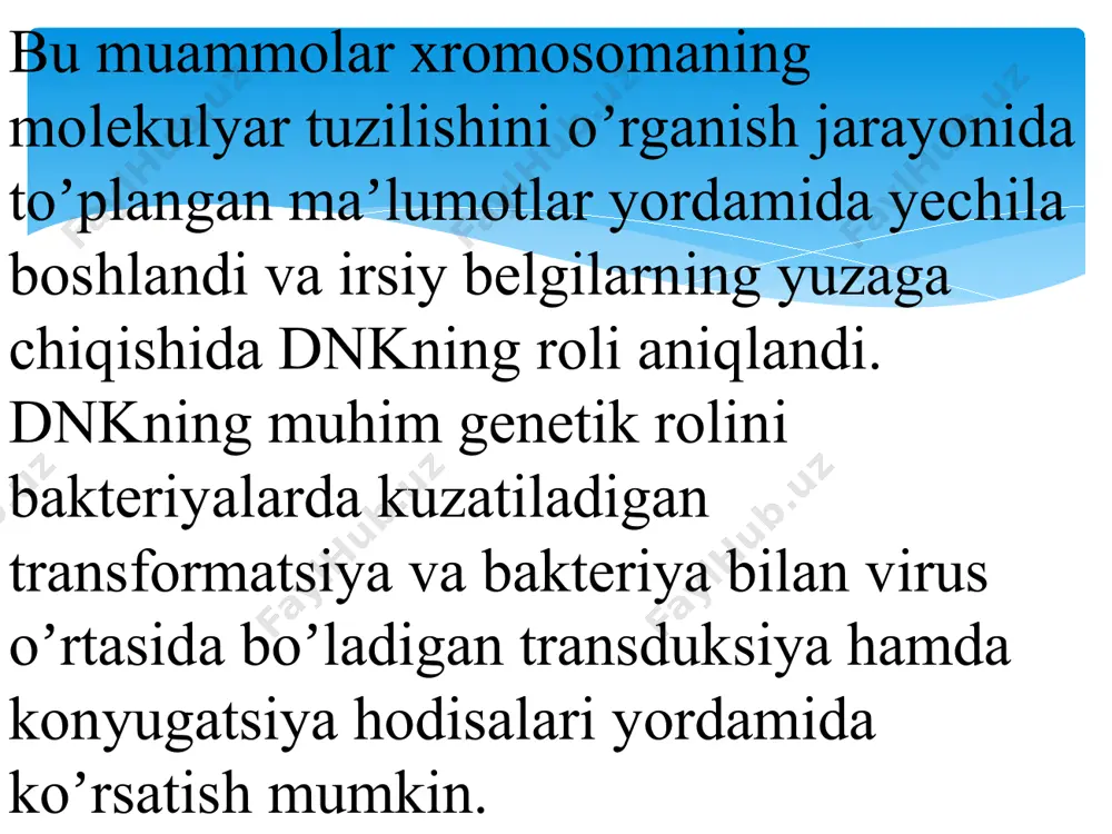 ekan. i-rnk dnk molekulasidagi oqsil toʼgʼrisidagi axborotni oʼziga koʼchirib oladi. bir molekula – i-rnk dnk molekulasining bitta genga toʼgʼri keladigan boʼlagidan axborotni koʼchirib oladi va bu axborot asosida bir molekula oqsildagi aminokislotalarning ketma – ket joylashishini belgilaydi. i-rnk yadrodan sitoplazmaga chiqib ribosoma bilan birlashgach, sintez qilinishi kerak boʼlgan oqsilga nisbatan nusxa beruvchi (matritsa) boʼlib hisoblanadi image2.png image3.png image4.png image5.png image6.png image7.png image8.png image9.png image10.png /docprops/thumbnail.jpeg
