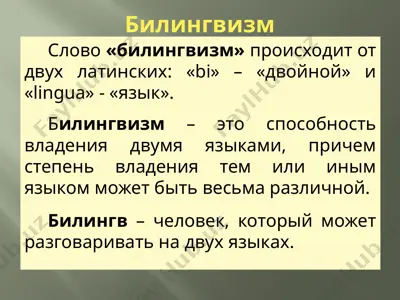 билингвизм — PPTX