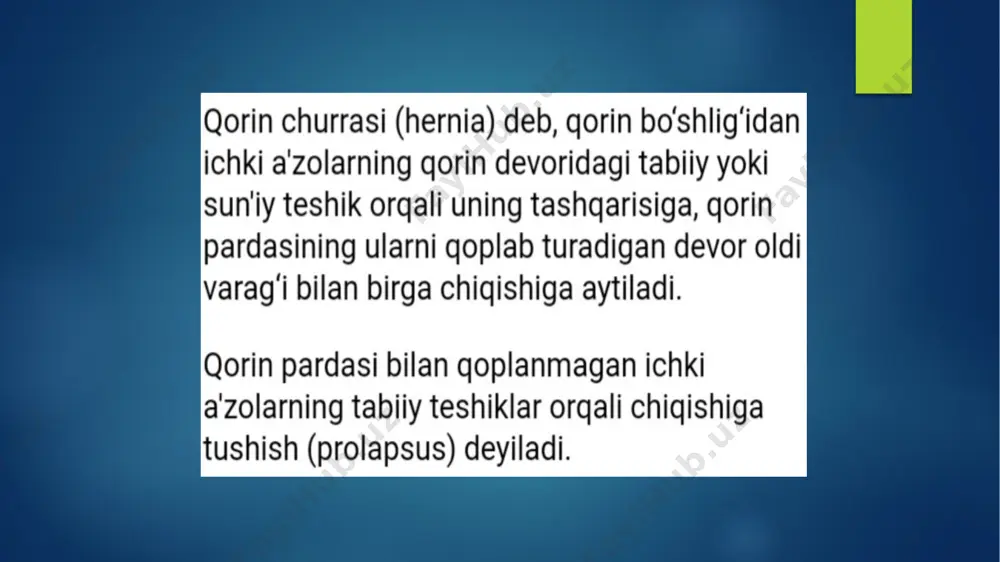 qorin bo’shlig’i ichki churralari - Page 4