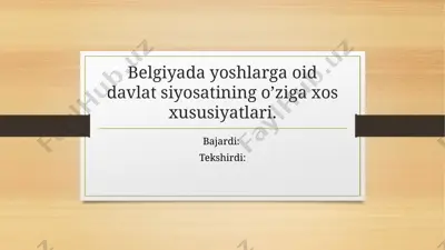 belgiya yoshlar parlamentlari — PPTX
