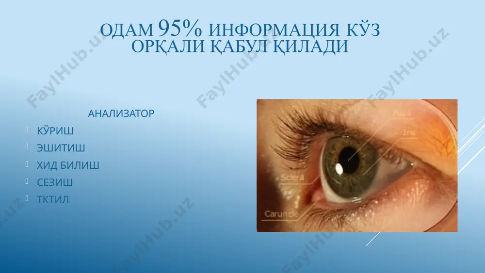 у аккомадациянинг инсон ёши 40 га якинлашганда пайдо бўладиган ўзгариши, яъни аккомадациянинг сусайишидир. натижада ўкиш ёзиш ёки бичиш тикишдек майда машғулотларни бажариш кийинлашиб, кўзойнак тақишга эхтиёж пайдо бўлади. аметропияни контакт линзалар билан коррекцияси контакт линзалар классифици­яси қаттиқ(қкл) юмшоқ (юкл) юмшоқ контакт линзалар бўлинади: оптик терапевтик косметик ласик операцияси катаракта гавхарнинг хиралашиши – катаракталар, қорачиқнинг рангини ўзгариши билан кечадиган касаллик хисобланади. катаракта классификацияси келиб чиқиш вақтига кўра туғма орттирилган шакли ва жойлашган жойига кўра пирамидал олд ва орқа қутб зонуляр - қаватма-қават ядроли кортикал тотал полиморф орттирилган катаракта (этиология бўйича) қарилик травматик асоратли нурланиш токсик етилиш даражасига кўра бошланғич етилмаган етилган ўтиб кетган туғма катаракталар наслий ёки турли тератоген факторларни эмбрион кўз гавхарига таъсири натижасида ривожланади. наслий катаракталар ген, геном ва хромосомах мутациялари натижасида юзага келади. кўпинча аутосом - доминант типда, баъзида – аутосом – рецессив типда наслга ўтади. пирамидал олд ва орқа қутб зонуляр - қаватма-қават ядроли тотал тотал туғма …