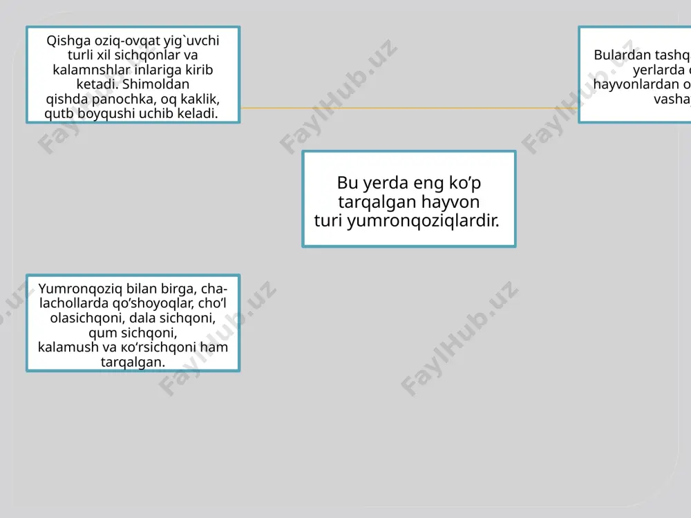 hayvonot dunyosi va uni tabiatdagi ahamiyati - Page 4