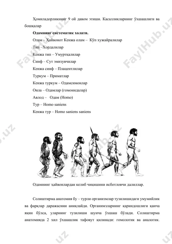 чиқишини исботловчи далиллар. солиштирма анатомия бу – турли организмлар тузилишидаги умумийлик ва фарқлар даражасини аниқлайди. органимзларнинг қариндошлиги қанча яқин бўлса, уларнинг тузилиши шунча ўхшаш бўлади. солиштирма анатомияда 2 хил ўхшашлик тафовут қилинади: гомологик ва аналогик. органлар гомологик орган деб келиб чиқиши бир хил, бажарадиган функцияси бир хил ёки турлича бўлган аъзоларга айтилади. умуртқали ҳайвонларнинг олдинги оёқларининг тузилиши гомологик аъзоларга мисол бўлади. масалан: одамнинг қўллари, юмронқозиқнинг саламандра, қуённинг олдинги оёқлари, қушларнинг, кўршапалакнинг қаноти гомологик аъзолардир. бу органлар бир хил келиб чиқишга эга бўлиб, хар хил синфларда турлича вазифаларни бажаради. бир хил вазифани бажарадиган, ташқи томондан ўхшаш бўлган лекин келиб чиқишига кўра фарқ қиладиган аъзолар аналогик аъзолар дейилади. масалан: капалак ва кўршапалакнинг қаноти учиш учун хизмат қилади, лекин капалакнинг қаноти кўкрақнинг орқа томонидан ўсиб чиққан алоҳида ҳосила бўлиб, қуш билан кўршапалакнинг қаноти шакли ўзгарган олдинги оёқлардир. эмбриологик далиллар. куп ҳужайралик организмалар уруғланган тухум хужайрадан ривожланади. бир типга кирувчи ҳайвонларнинг муртакнинг ривожланиши ўхшашдир. …