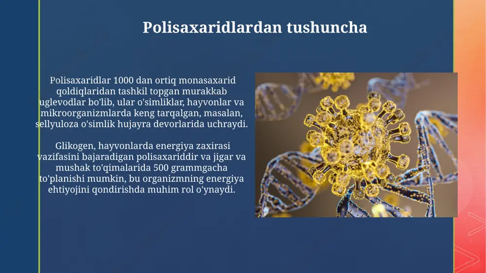 . pektin moddalarining biologik ahamiyati pektin moddalari o'simlik hujayralarining 30% gacha qismini tashkil qiladi va mevalar, sabzavotlar va ba'zi o'simliklarning po'stlog'ida keng tarqalgan bo'lib, ularning mustahkamligini ta'minlaydi. o'rta osiyo mamlakatlarida, xususan, o'zbekistonda, pektin boyi mevalar (olma, o'rik)dan tayyorlangan mahsulotlarning iste'moli sog'liqni saqlashga ijobiy ta'sir ko'rsatadi, chunki pektinlar 10-15% gacha suvni o'zlashtiradi. kraxmalning biologik ahamiyati kraxmalning hazm bo'lishi ingichka ichakda, og'iz bo'shlig'ida amilaza fermenti ta'sirida boshlanadi va 30 daqiqadan keyin glyukozaga aylanadi, bu esa energiya manbai vazifasini o'taydi. bu jarayon inson organizmining normal ishlashi uchun juda muhimdir. o'zbekistonda paxta va bug'doy kabi ekinlarda kraxmal miqdori yuqori bo'lib, bu mahsulotlarning oziq-ovqat sanoati va farmasevtika sohasidagi ahamiyatini oshiradi, ya'ni 2023 yilda 1 million tonnadan ortiq bug'doy yetishtirildi. polisaxaridlarning sintezlanishi sellyuloza sintezi, asosan, o'simlik hujayra devorlarida, hujayra membranasida joylashgan selluloza sintaz komplekslari yordamida, 36 ta glyukozadan iborat zanjirlarni hosil qilib amalga oshiriladi. polisaxaridlarning biosintezi, masalan, kraxmal sintezi, o'simliklarda 100 dan ortiq fermentlar ishtirokida, xloroplastlarda …