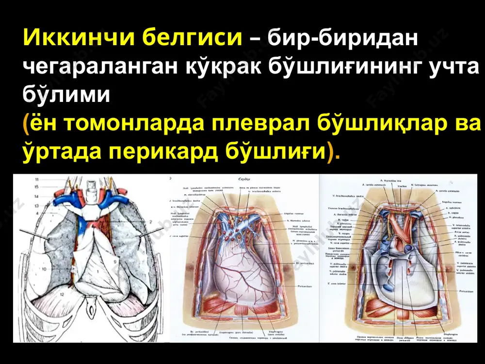 ilib ketadi va o'pka o'z holatiga qaytadi. plevral bo'shliqda havoning ancha ko'p hajmi bor bo'lsa, asosan pnevmogemotoraks holatida havo va qon plevral punktsiya orqali chiqarib tashlanishi zarur. yopiq va klapanli zo'riquvchi pnevmotoraks. bronx yirtilishi; o'pka yirtilishi; parietal plevra yirtilishi natijasidagi teri osti emfizemasi; mediastinal plevra buzilishi natijasida ko'ks oralig'i emfizemasi. ochiq pnevmotoraks – ko'pincha ko'krak devorining katta hajmda jarohatlanishi natijasida, kamroq hollarda bosh bronx yoki traxeya shikastlanishi oqibatida vujudga keladi. bu juda og'ir holat (ko'p hollarda o'limga olib keladi). og'ir holat shok rivojlanishi bilan bog'liq. ochiq pnevmotoraksda patofiziologik mexanizmlarning to'liq kompleksi rivojlanib boradi: 1) atelektaz – nafas etishmovchiligi; 2) paradoksal nafas olish; 3) ko'ks oralig'ining tebranishi; 4) ko'krak bo'shlig'ining “so'rish” xususiyati buziladi; 5) plevraning atmosfera havosidan ta'sirlanishi. birinchi yordam – germetik bog'lam. jarrohlik yordami – jarohatni shoshilinch ravishda yopish. klapanli pnevmotoraks - jarohat atrofidagi to'qimalardan klapan shakllanishida yuzaga keladi. nafas olish paytida havo plevral bo'shliqqa kiradi, nafas chiqarishda esa klapan …