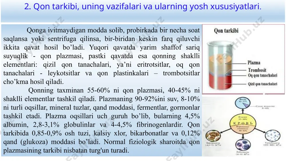 i amyobaga o‘xshagan harakatlanuvchi hujayralardir. leykotsitlar kattaligi 4-14 mikron bo’lib, har 500 eritrotsitga taxminan bitta leykotsit to‘g‘ri keladi. 1 mm3 qonda 6-8 ming dona leykotsit bo’ladi. leykotsitlarning soni organizmning holatiga, ovqatlanishga, muskullar ishi va boshqalarga qarab o'zgarib turadi. leykotsitlar donador va donasiz leykotsitlarga bo’linadi. donador leykotsitlarga - eozinofillar, bazofillar va neytrofillar, donasiz leykotsitlarga - monotsitlar va limfotsitlar kiradi. leykotsitlar suyak iligida, taloqda va limfa bezlarida hosil bo’ladi va organizmni turli mikroblardan himoya qilib turadi, unga tushgan yot moddalarni parchalaydi va mikroblarni yutadi. leykotsitlarning yot moddalarni yutish xususiyatini l.i. mechnikov fagotsitoz deb atagan. yangi tug‘ilgan bolalarda leykotsitlarning soni 1 mm3 qonda 10000 dan - 20000 gacha bo‘ladi, 12 yoshda 10000 dan 12000 gacha kamayadi. 3-7 yoshda neytrofillar soni kam, limfotsitlar soni esa ancha ko‘p bo'ladi. bolaning yoshi ortishi bilan neytrofillar soni ortib, limfotsitlar soni kamayadi. neytrofillar va qonning fagotsitar funksiyasi ham kam bo'ladi. bog‘cha yoshidagi bolalarni yuqumli kasalliklarga tez chalinishi qisman …