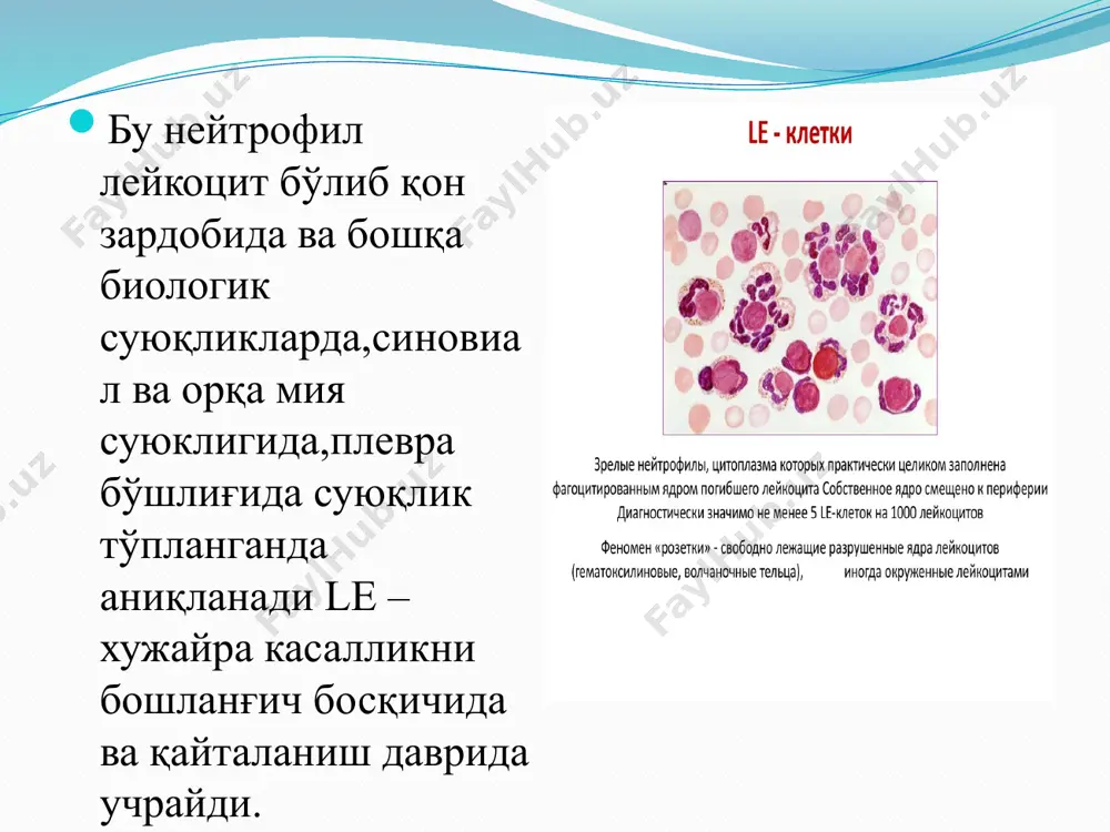 le-хужайра амалиy kўnikmasi - Page 3