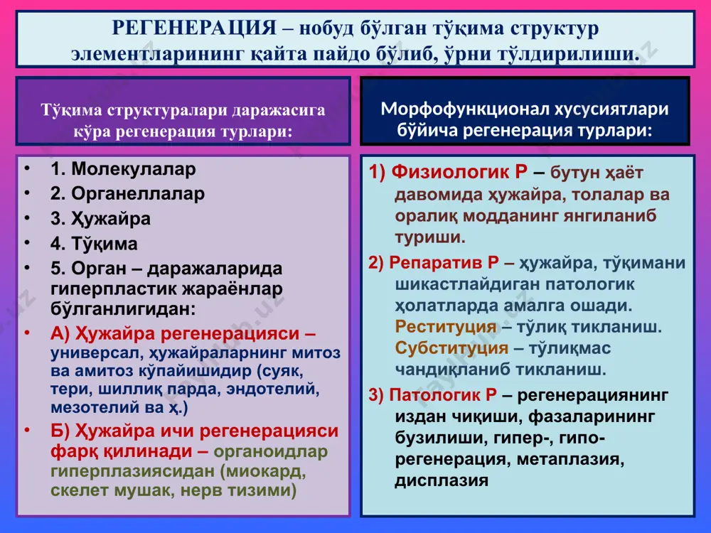 қа турга айланиши. масалан: бир қаватли призматик эпителийнинг кўп қаватли ясси эпителийга айланиши (суринкали бронхит, бронхоэктазия) (а витамин етишмаслигида – сўлак бези, меъда ости бези, простата чиқарув найлари эпителийси). кўп қаватли ясси эпителийнинг бир қаватли призматик эпителийга айланиши (бачадон бўйни сохта эрозияси). меъда қопловчи эпителийсида қадоҳсимон ҳужайранинг пайдо бўлиши (суринкали гастритда). чандиқ ўчоқларида бириктирувчи тўқиманинг тоғай ва суяк тўқимасига айланиши. бронх қопловчи призматик эпителийсининг ясси эпителийга айланиши меъда шиллиқ пардасида қадоҳсимон ҳужайра пайдо бўлиши метаплазия ва дисплазия