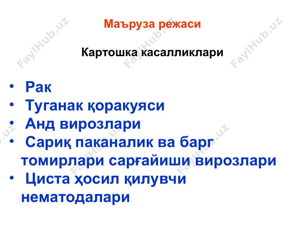 , жумладан, помидор, қора итузум ва бошқа бегона ўтлар зарарланади. қишлоқ хўжалик фитопатологияси картошка, помидор ва лавлагининг карантин касалликлари картошканинг рак касаллиги зарари. зарарланган картошканинг кўп ҳосили йўқотилиши, қўзғатувчи замбуруғ тупроқда тиним ҳолатида 30 йилгача сақлана олиши ва тупроқни ундан тозалаш қийинлиги туфайли бу касаллик картошка етиштиришда жиддий хавф туғдиради. қишлоқ хўжалик фитопатологияси картошка, помидор ва лавлагининг карантин касалликлари картошканинг рак касаллиги зарари. касаллик, айниқса картошка ҳар йили айни далага экиладиган шахсий томорқаларда, ҳосилга катта талафот етказади. рак туфайли айрим йиллари даладаги ҳосилнинг 40-60%, баъзан эса 100% йўқотилади. омборхоналарда зарарланган туганакларнинг кўпчилиги чириб кетади. қишлоқ хўжалик фитопатологияси картошка, помидор ва лавлагининг карантин касалликлари картошканинг рак касаллиги зарари. зарарланган картошка туганаклари, айниқса улардаги шишлар заҳарли, шу туфайли бундай маҳсулотни моллар учун ем сифатида ҳам ишлатиш мумкин эмас. карантин талабларига кўра тупроғи s. endobioticum билан зарарланган даладан олинган барча экинларнинг ҳосилини экспорт қилиш таъқиқланади. қишлоқ хўжалик фитопатологияси картошка, помидор ва лавлагининг карантин …