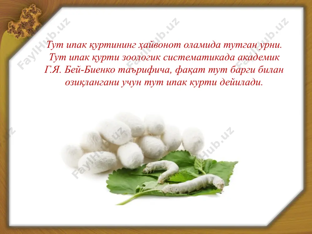 хтзор ёки бутазорларда боқилади. узбекистонда асосан тут ипак қурти боқилади. ёввойи ипак қуртларига айлант, канакунжут ва ассам ипак қуртлари, шунингдек, хитой, япон ва ҳиндистон дуб ипак қуртлари киради айлант ипак қ у р т и айлант дарахтининг баргидан ташқари сирен ва олма дарахтининг барги билан ҳам озиқланади. булар ҳиндистон, хитой ва ява мамлакатларида учраб, бир йилда 4 маротабагача авлод беради. канакунжут ипак қ у р т и айлант ипак қуртига жуда яқин булиб, 4-7 маротабагача авлод беради. у канакунжут, сирень, ёввойи олма дарахтларининг барги билан озиқланади. уларнинг ураган пиллалари оқ, жигар ранг кизғиш тусли булиб, олинган ипак толаси ялтираб туради. хитой дуб ипак қ у р т и капалаклари йирик, қанотини ёзганда15-18 см га етади, қанотлари чиройли, хар бирида кузча шаклида холлари бор, яхши учади, 15 кунгача яшайди. тут ипак қурти тулиқ метаморфозали хашаротлар гуруҳига кириб, туртта ривожланиш даврини бошидан утказади 1. тухумлик даври - эмбрионнинг ривожланиш ва купчилигида қишлаш …